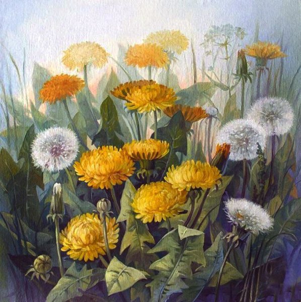 Лариса Гамильтон одуванчики