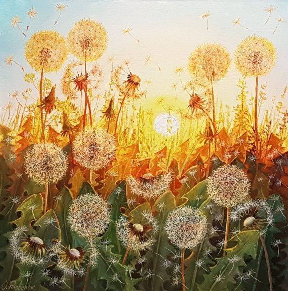 Одуванчиковое поле живопись