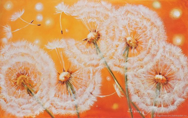 Светлана Логинова одуванчики