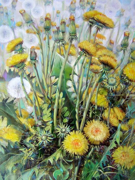 Александр Сердюков полевые цветы