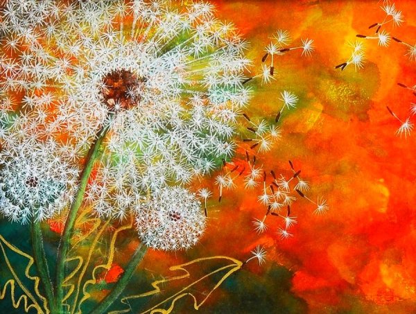 Одуванчики резерваж