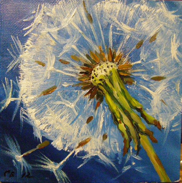 Одуванчики маслом на холсте