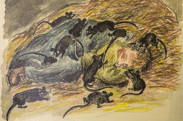 Керсновская Евфросиния Антоновна рисунки