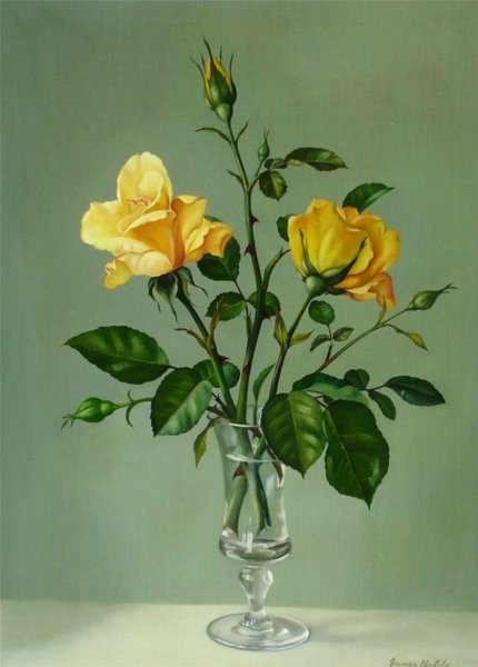 Вильямс розы желтые