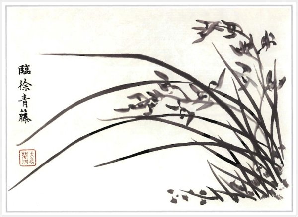 Гохуа 4 благородных растения