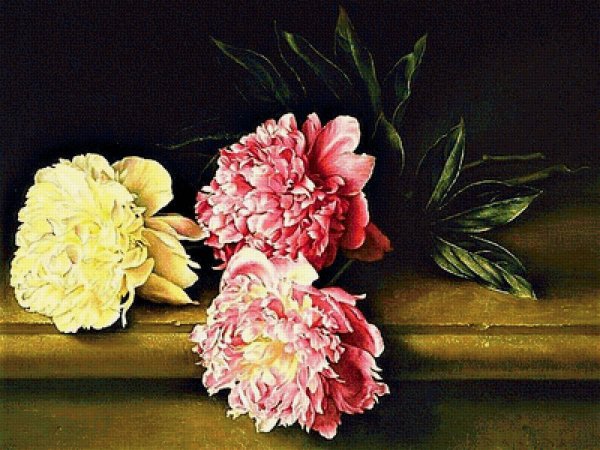 Пионы живопись