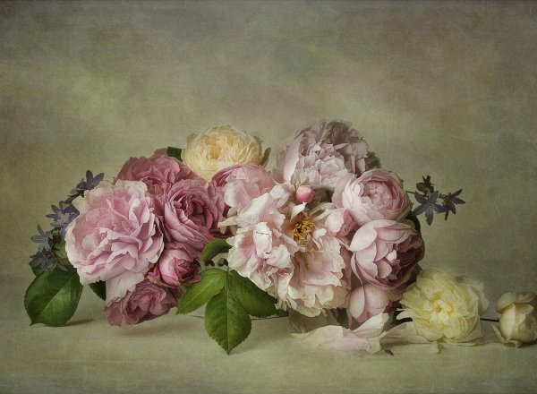 Lizzy pe (Лиззи пе)