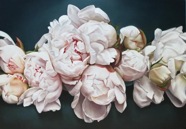 Томас Дарнелл (Thomas Darnell)