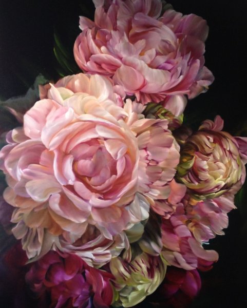 Пионы Марселлы Каспар