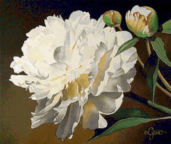 Художник Jacqueline Gnott