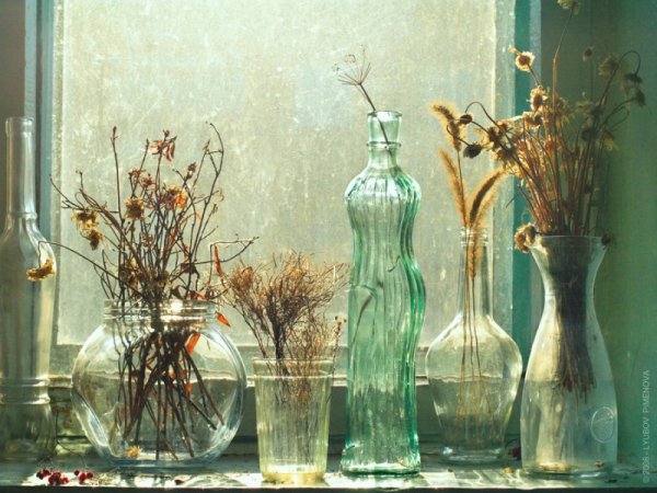 Натюрморт на окне