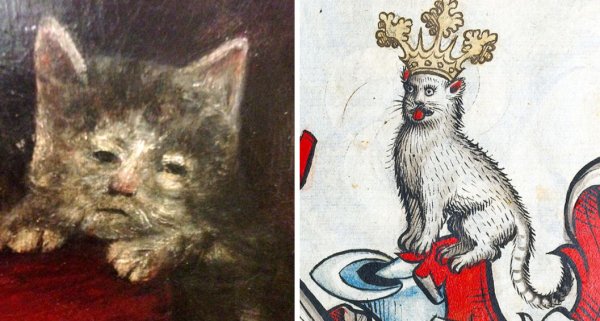 Страдающее средневековье кот