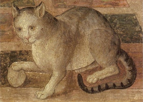 Кошки в средневековье