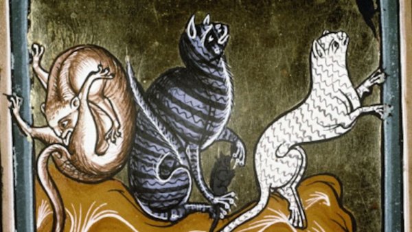 Изображение кошек в средневековье