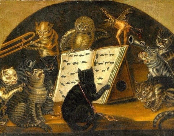 Сова учит кошек ловить мышей