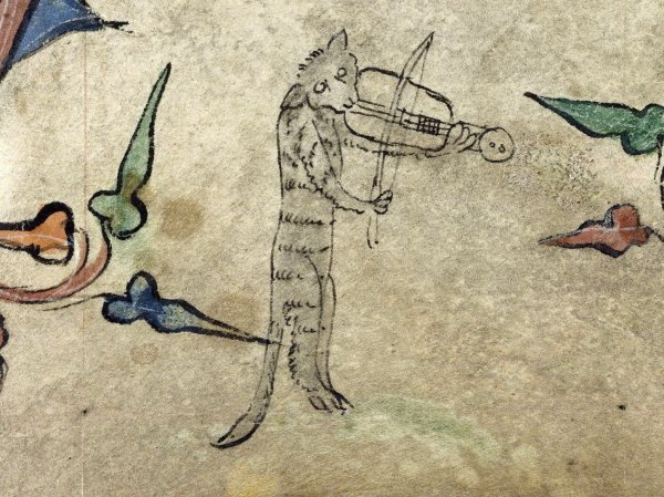 Средневековый Бестиарий Гравюры кошки