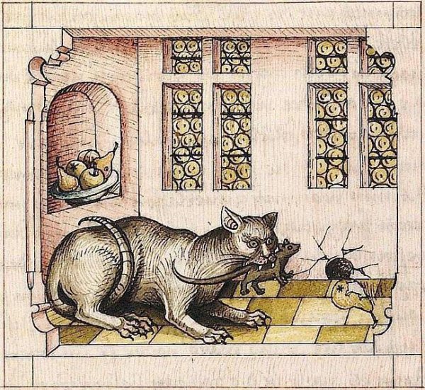 Кошки в средневековье