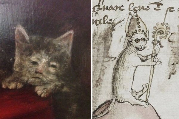 Страдающее средневековье коты