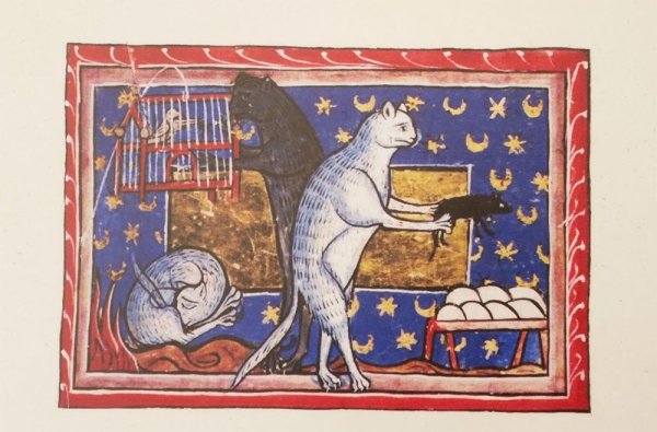 Кот Средневековая миниатюра