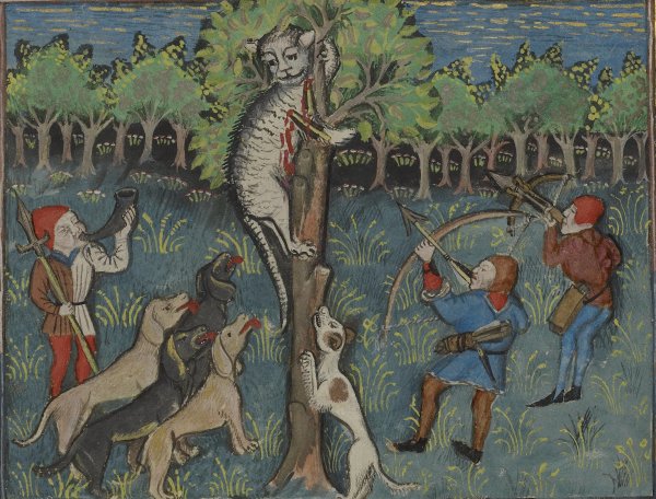 Кошки в Европе в средние века