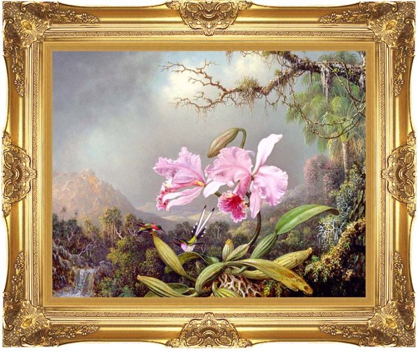 Орхидеи художник Pieter Wagemans