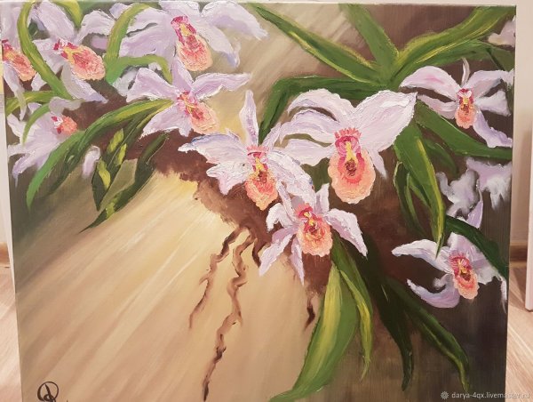 Орхидея maslom