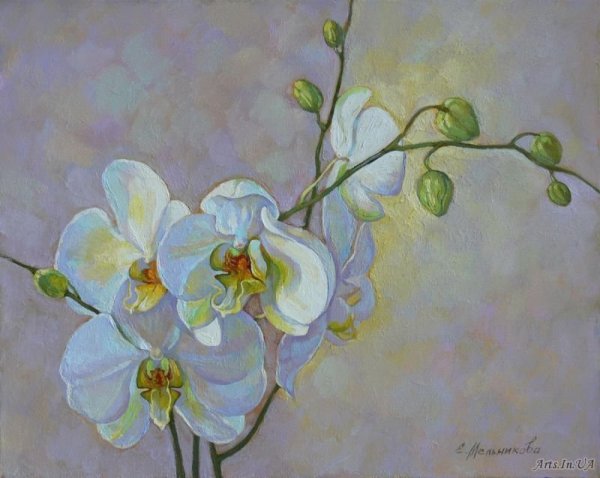 Орхидея акрилом