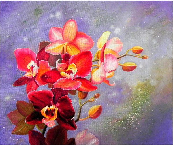 Мартин Джонсон хед