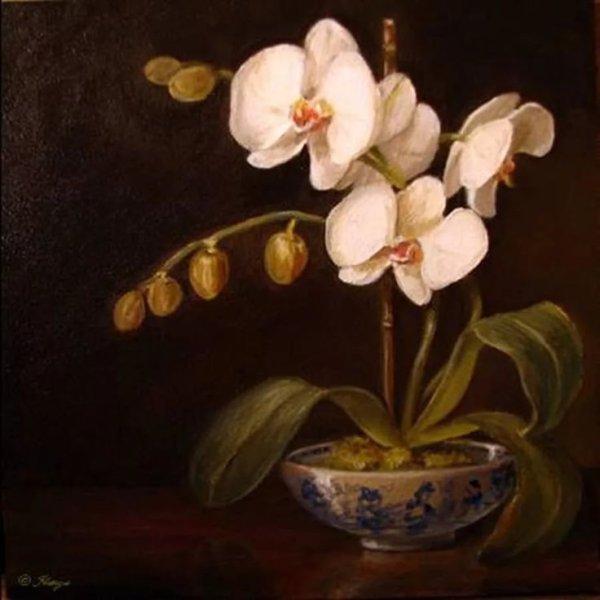 Мартин Джонсон хед