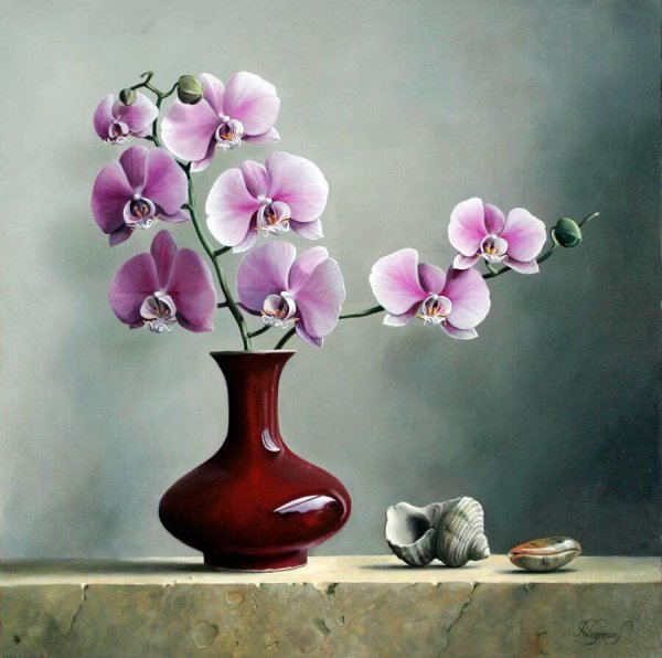 Питер Вагеманс Орхидея