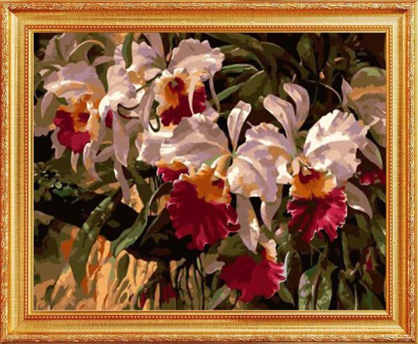 Орхидеи пастелью