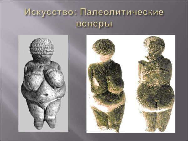 Палеолит палеолитические Венеры Костенки