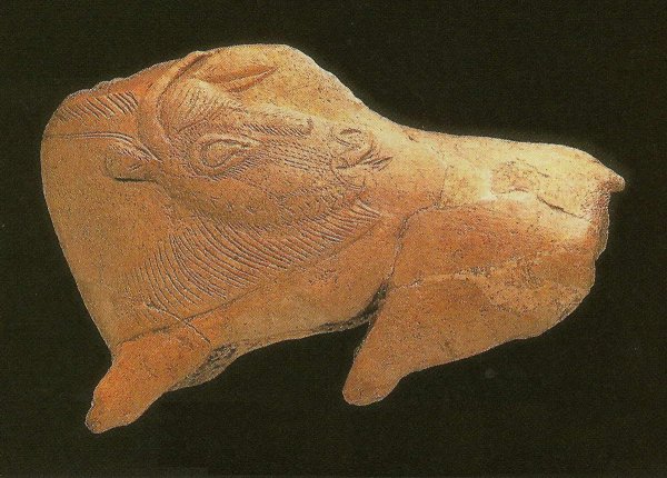 Бизон Оглянувшийся Мадлен