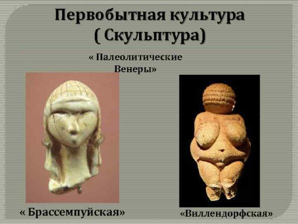 Палеолитические Венеры Брассемпуйская