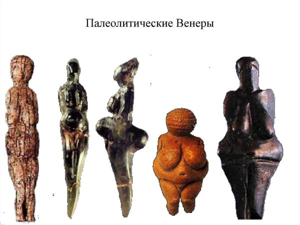 Палеолитическая Венера Зарайск