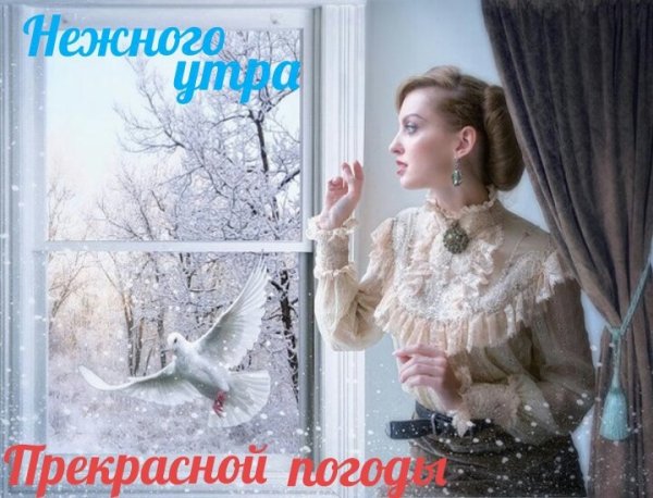 Женщина у зимнего окна