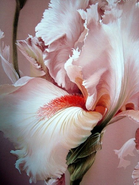 Вьетнам шелковая фабрика