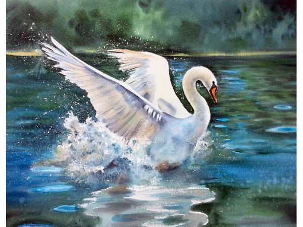 Лебеди на пруду живопись