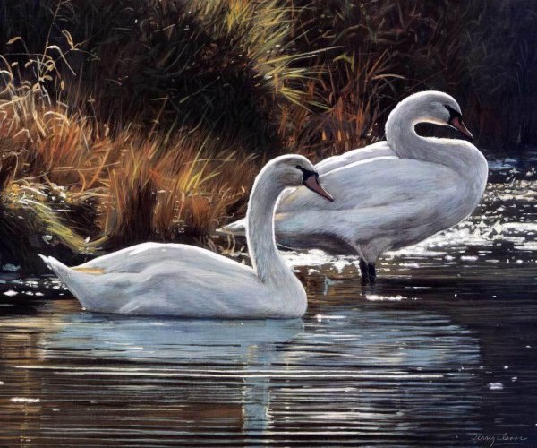 Терри Исаак картины