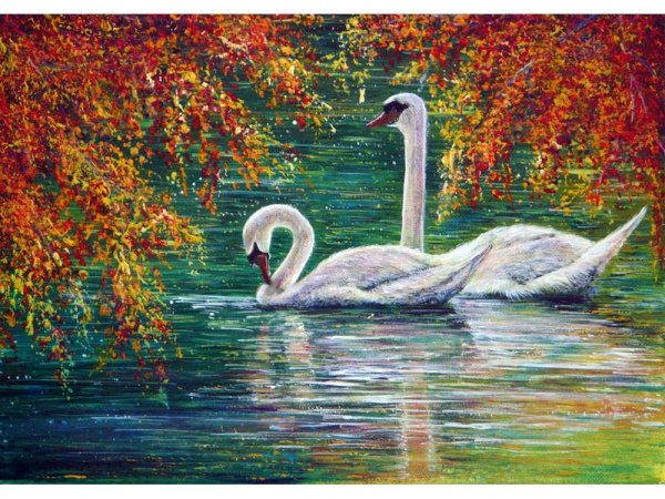 Пейзажи с лебедями маслом