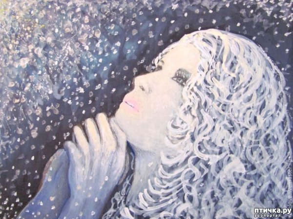 Анастасия Вострецова художник