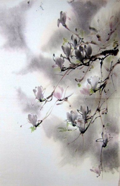 Магнолия Суми-э