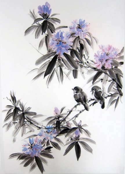 Гортензия суйбокуга