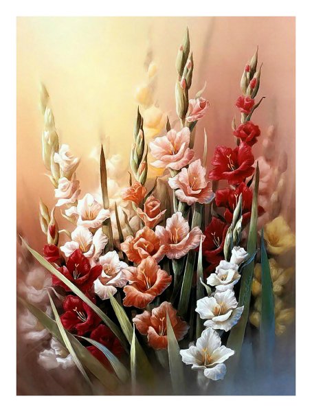 Гладиолусы в живописи