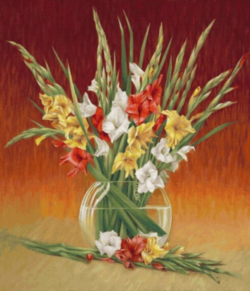 Гладиолус Поль Гоген