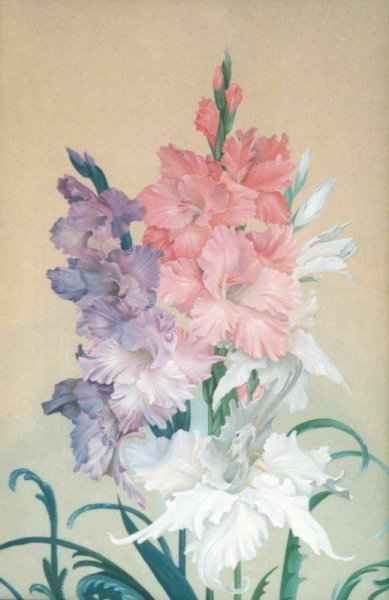 Гладиолусы Левитан