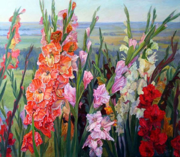 Сергей Андрияка гладиолусы