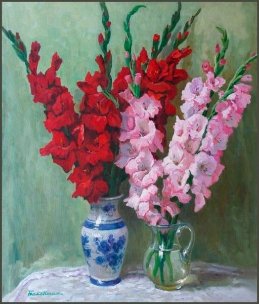 Сергей Андрияка гладиолусы