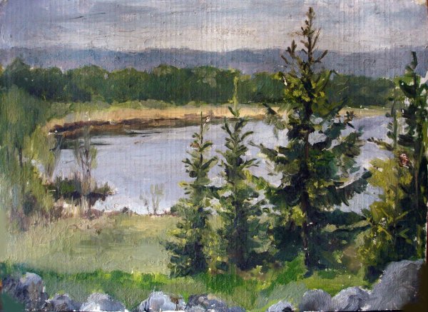 Художник Тянников Карелия