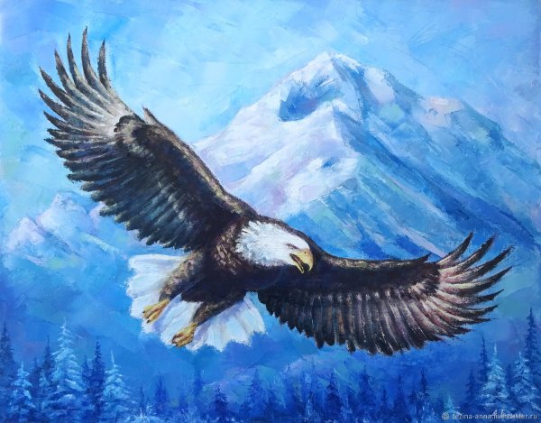 Красивые картины орла
